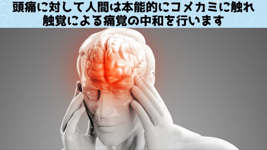 頭痛で思わず「コメカミを抑える」理由が解明！