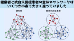 1つ1つの点は単語を象徴しており、線は単語の意味同士のつながり方を示しています。 近い位置にある単語（点）は連想しやすく意味的に近いことを示しており、特定の点から伸びる線の数は、ある単語が他の単語とどれだけつながりが多いかを示しています。 また点の色は、単語のカテゴリーの違い（人間系、動物系、自然環境系などの単語）を意味しています。