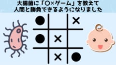 第5位：大腸菌を人工知能にできる！？　「〇✕ゲーム」を学習し人間と勝負が可能に！