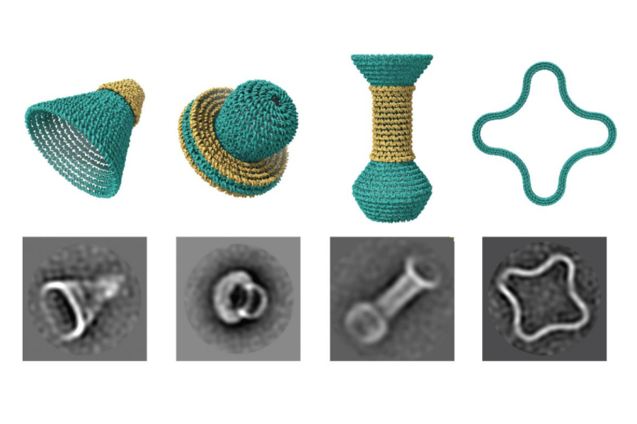 DNAでナノサイズの壺や皿を作成することに成功！