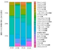 野生のクマ4頭における食べ物の割合。個体差があると判明。