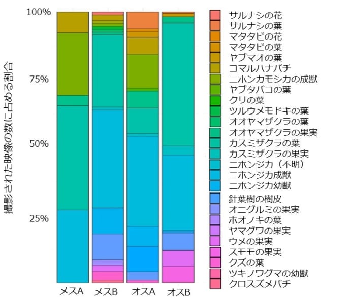 野生のクマ4頭における食べ物の割合。個体差があると判明。