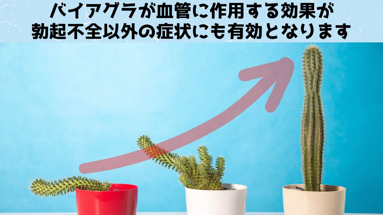 バイアグラには男性の死亡リスクを大幅に下げる可能性があると判明！