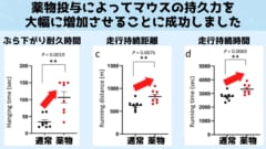 薬物投与によって持久力が大きく伸びている