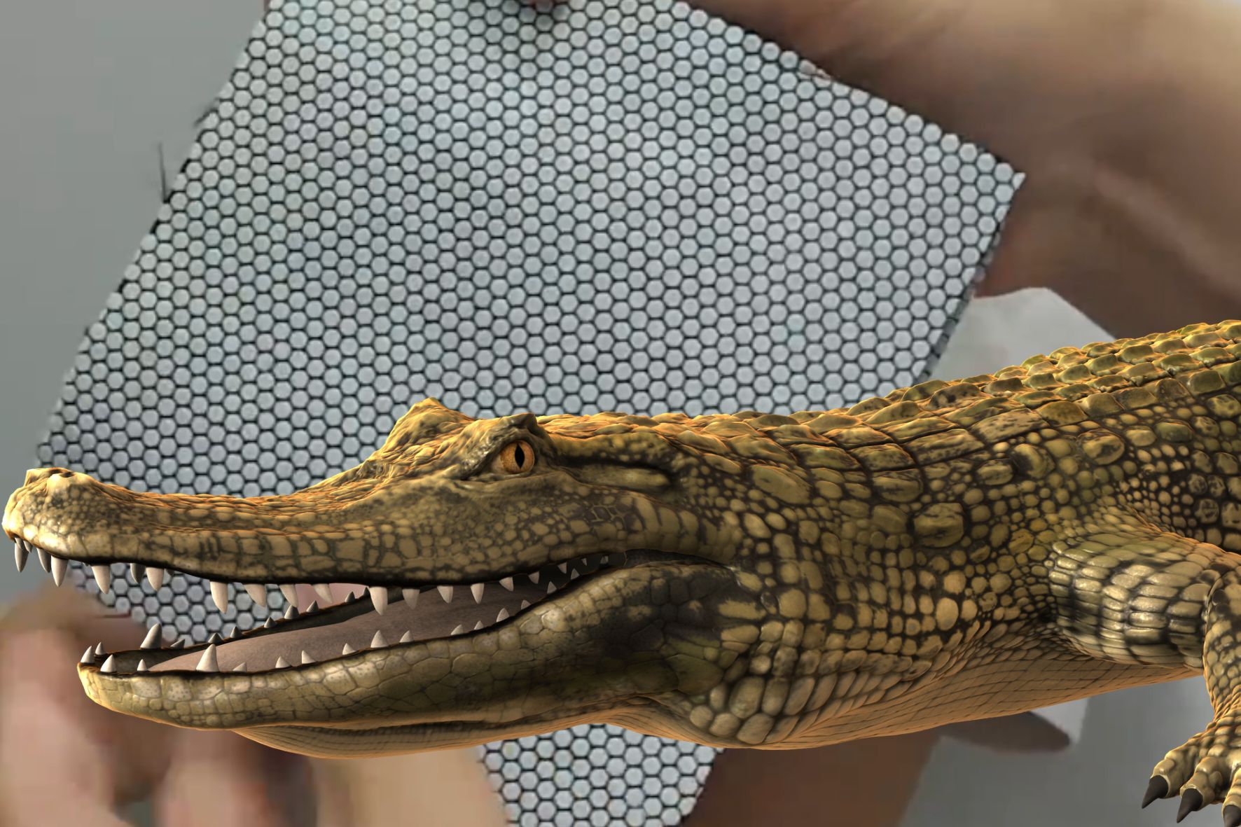 ワニ皮をヒントに柔軟で軽量かつ強固な素材を開発 - ナゾロジー