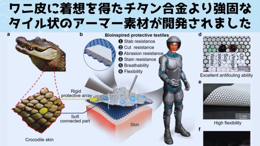 ワニ皮をヒントに柔軟で軽量かつ強固な素材を開発 - ナゾロジー ワニ皮をヒントに柔軟で軽量かつ強固な素材を開発 - ナゾロジー