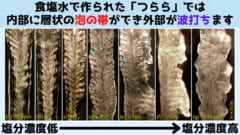 不純物の濃度に応じて内部の泡の分布パターンや外観が違ってくる