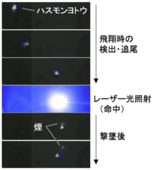 蛾の一種「ハスモンヨトウ」の撃墜に成功