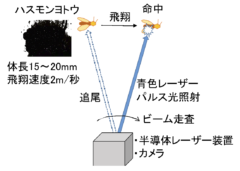 青色半導体レーザーを用いて蛾を打ち落とす