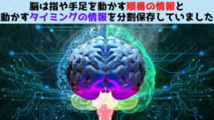 脳は練習した動作の「順番」と「タイミング」を分割保存し実行中に統合ていると判明！