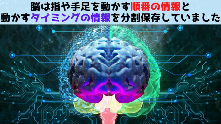 脳は練習した動作の「順番」と「タイミング」を分割保存し実行中に統合ていると判明！