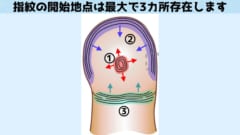 指紋の開始地点は3つある