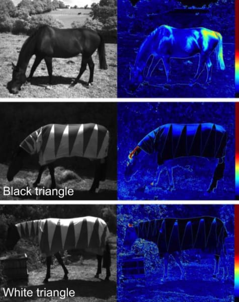 上：馬の毛皮、中：白地に黒い三角形、下：黒地に白い三角形