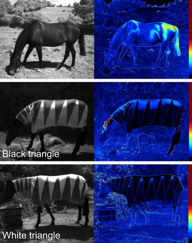 上：馬の毛皮、中：白地に黒い三角形、下：黒地に白い三角形