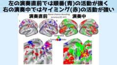 演奏の直前の段階では指の順番にかかわる脳領域が広く活性化しているが、演奏中になるとタイミングにかかわる脳領域が活性化する