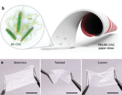 （上）新しく開発されたPBS/BS-CNCストロー、（下）PBS/BS-CNC コーティング フィルムは、引っ張ったりねじったりしても、元の形状に戻る