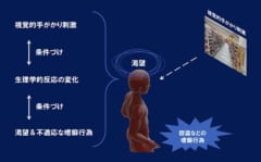 窃盗に関連する手がかりを不適応学習してしまうため、その刺激により、盗みたい欲求が生じている可能性