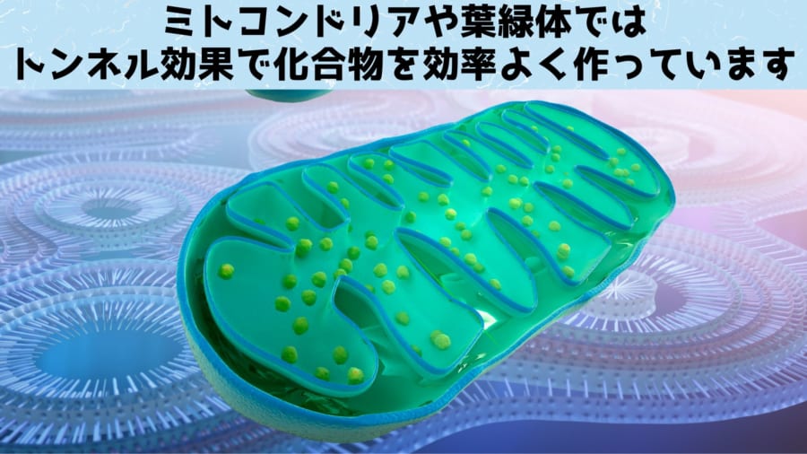 生物は量子力学的なトンネル効果をずっと前から利用してきた