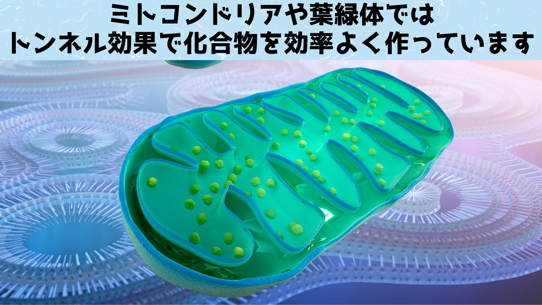 生物は量子力学的なトンネル効果をずっと前から利用してきた