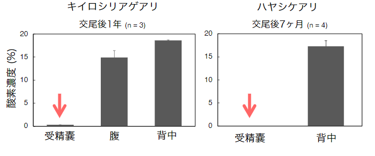 女王アリ体内の酸素濃度