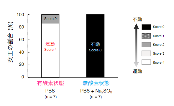 無酸素状態に置くと精子が不動化した