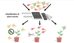 AIに「悲鳴」のみを学習させて、そこから植物の種類を当てさせる