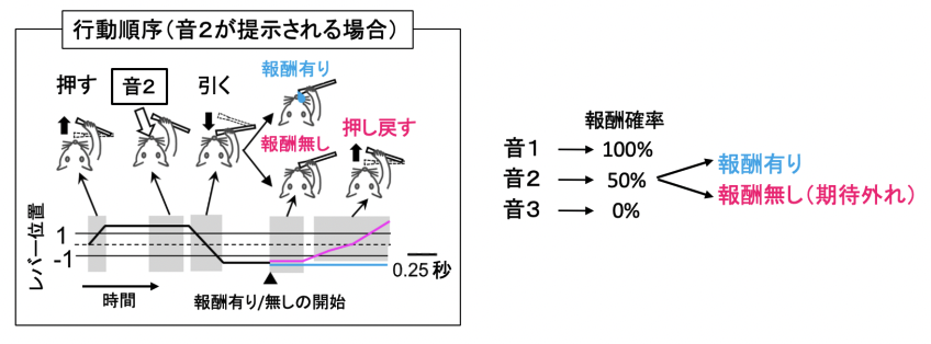 実験の模式図