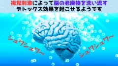 視覚刺激には「脳の老廃物」を洗い流せる可能性があると判明！