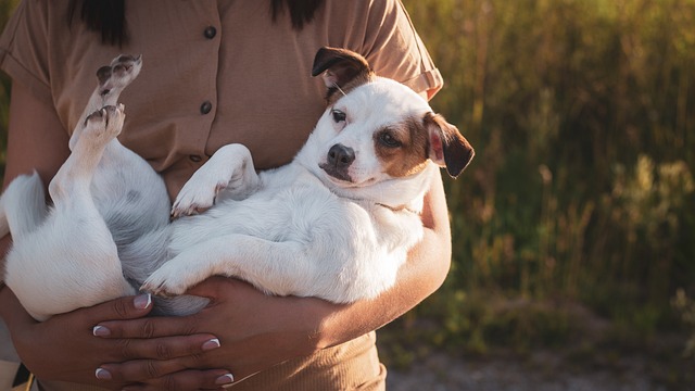 親子のような人間と子犬