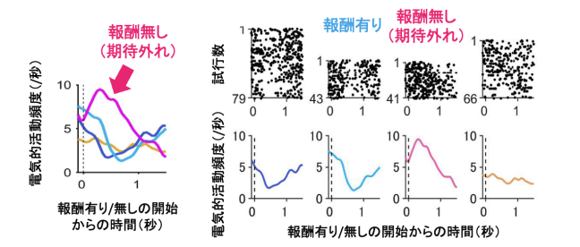 期待外れ（ピンク）に直面した際に「ドーパミン放出量」が増加した