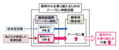 「期待外れ」を乗り越えるドーパミン神経回路