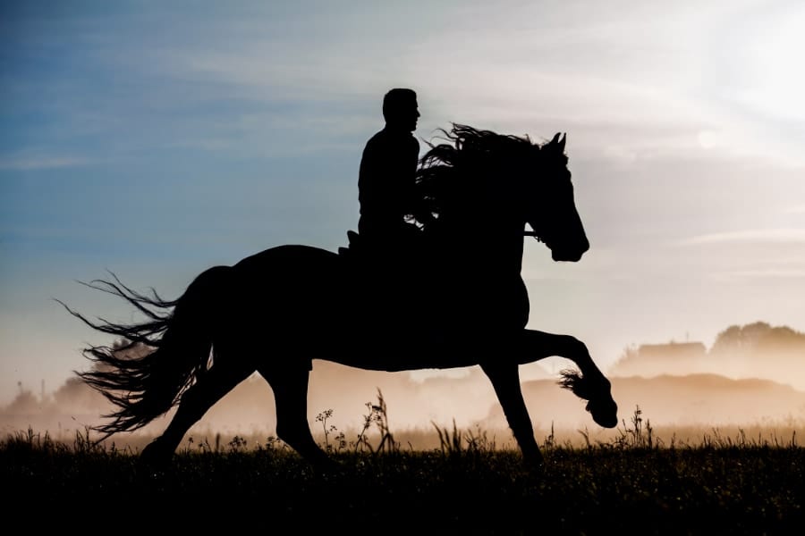 「人が馬に乗ったのはいつなのか？」5千年前の遺骨から最古の乗馬痕を発見！