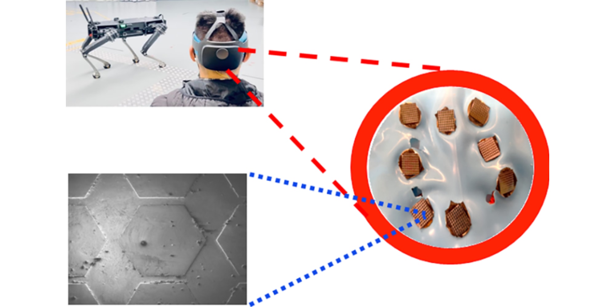 グラフェンを用いたセンサーによって脳波を高精度で検知可能に。視覚と脳波を用いてロボット犬の遠隔操作に成功