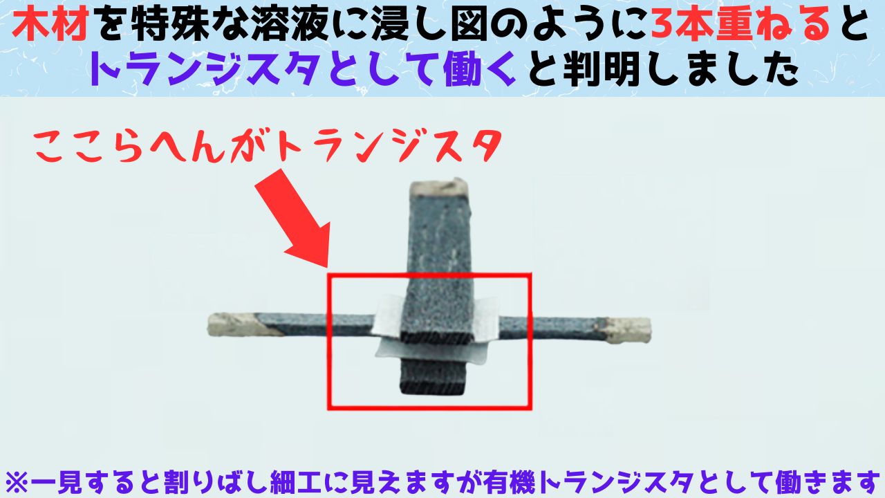 木製のトランジスタを開発することに成功！