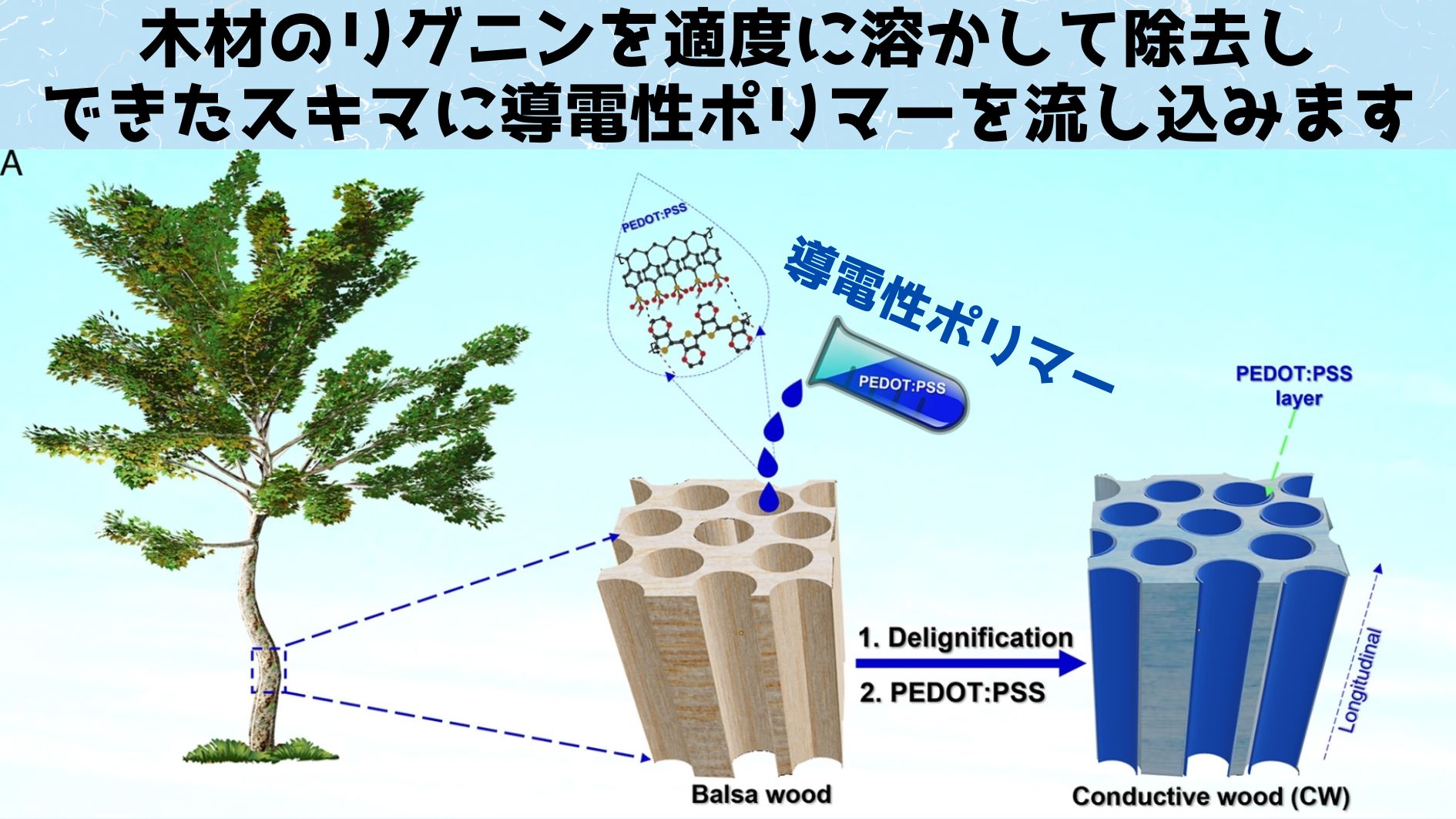 木製のトランジスタを開発することに成功！