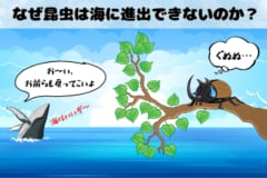 「なぜ昆虫は海にいないのか？」科学的な理由をわかりやすく解説！の画像 3/5