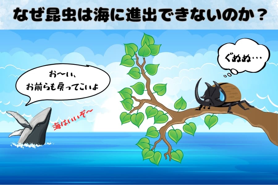 「なぜ昆虫は海にいないのか？」科学的な理由をわかりやすく解説！