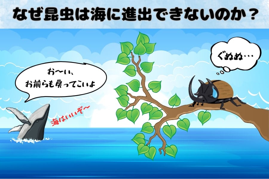 「なぜ昆虫は海にいないのか？」科学的な理由をわかりやすく解説！の画像 3/5