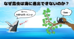 「なぜ昆虫は海にいないのか？」科学的な理由をわかりやすく解説！の画像 1/5