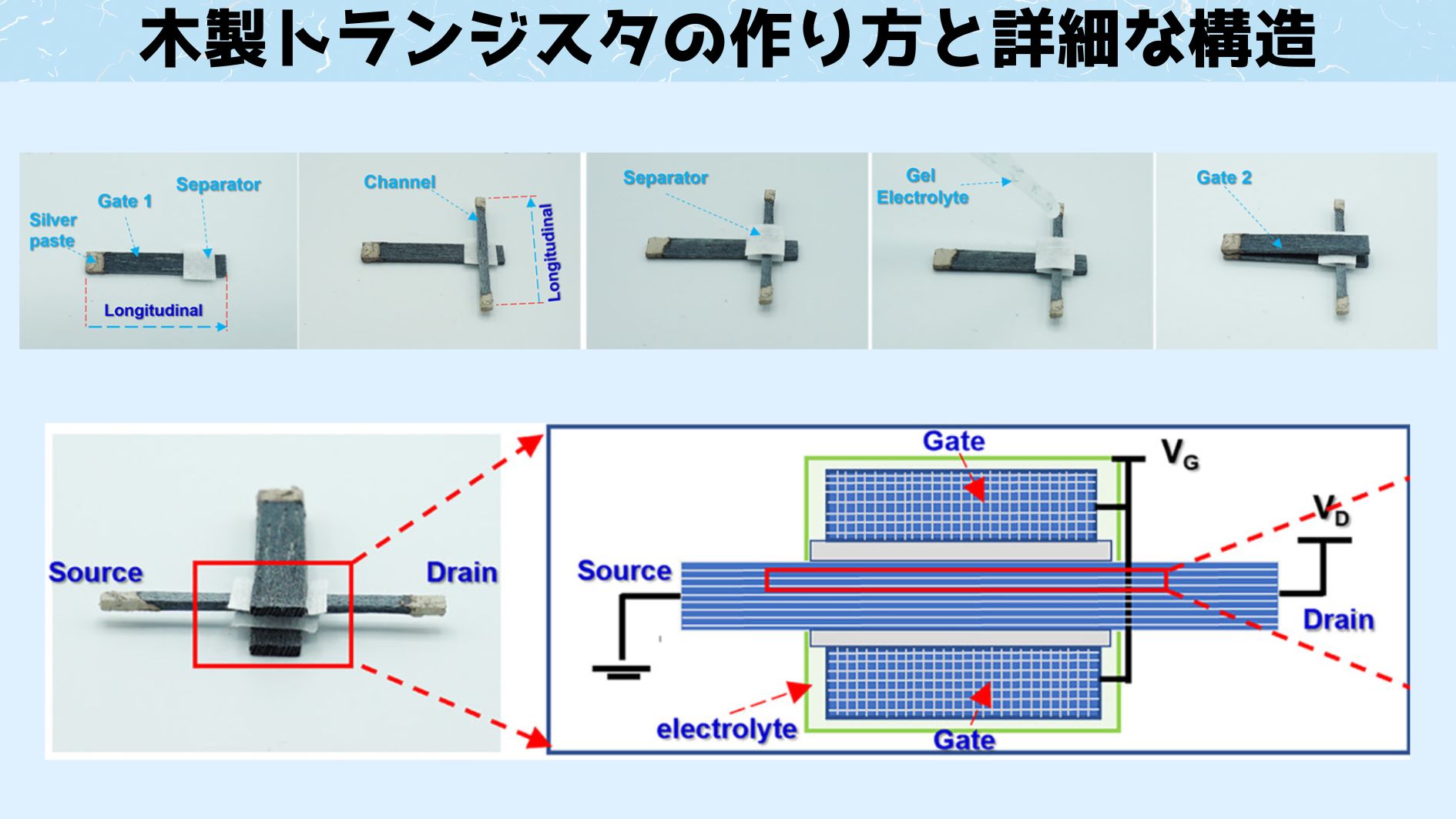 木製のトランジスタを開発することに成功！