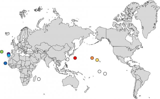 アナドリの主な繁殖地（白丸は今回の調査の対象外）