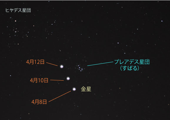 2023年4月の金星とすばるの接近情報