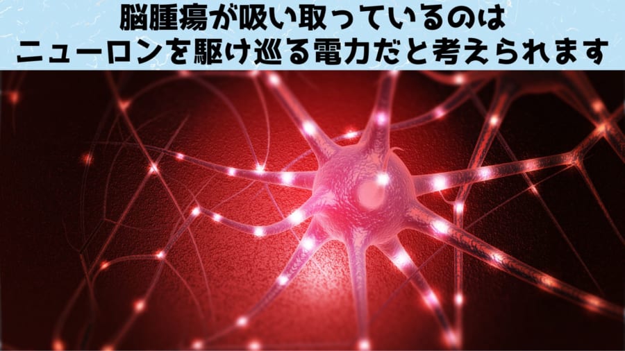 思考自体が脳腫瘍の増殖を促進していると判明！