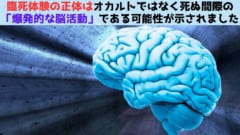 臨死体験の正体は死ぬ間際の「爆発的な脳活動」だった