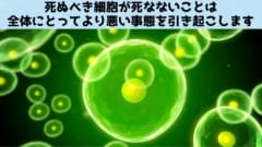 テロメアが長くても寿命が延びるどころか「がん」リスクが急増するだけと判明！の画像 6/6