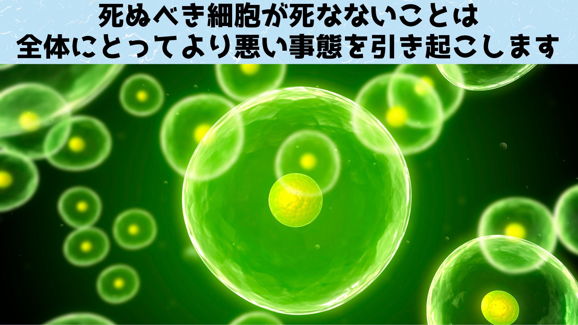 テロメアが長くても寿命が延びるどころか「がん」リスクが急増するだけと判明！の画像 6/6