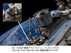 宇宙空間に曝露試験中の木材