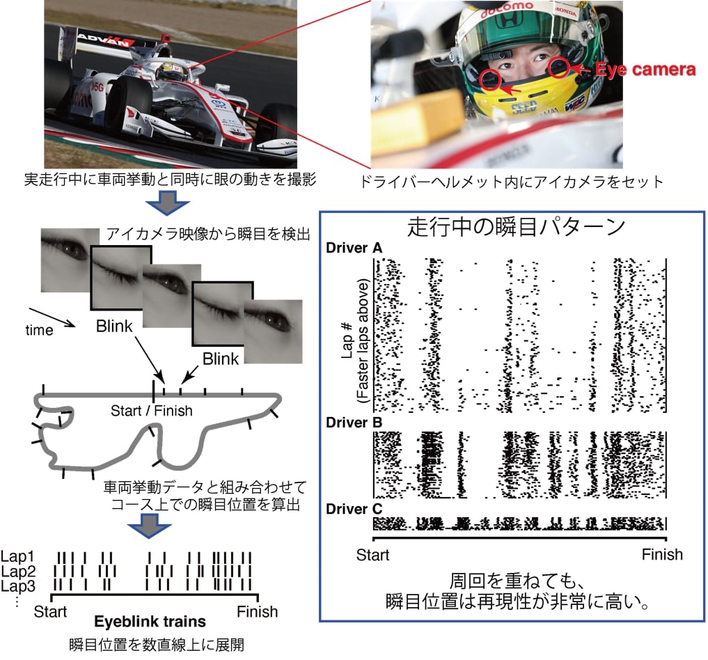 フォーミュラカー走行中の「瞬き」のパターン