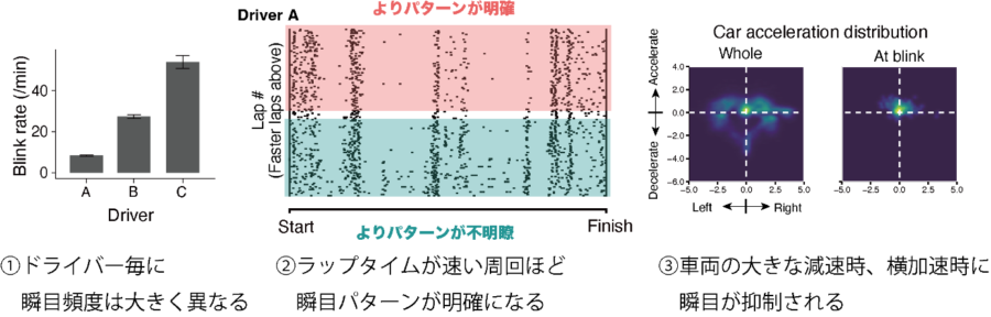 走行中の瞬きパターンを決める3つの要因