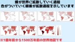 蝶は1億年前に北アメリカで誕生したと判明！